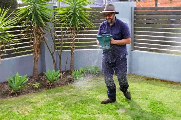 Lawn Fertilization Lawn Fertilization