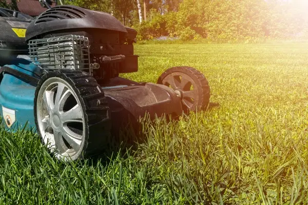 Lawn Mowing Services Lawn Mowing Services