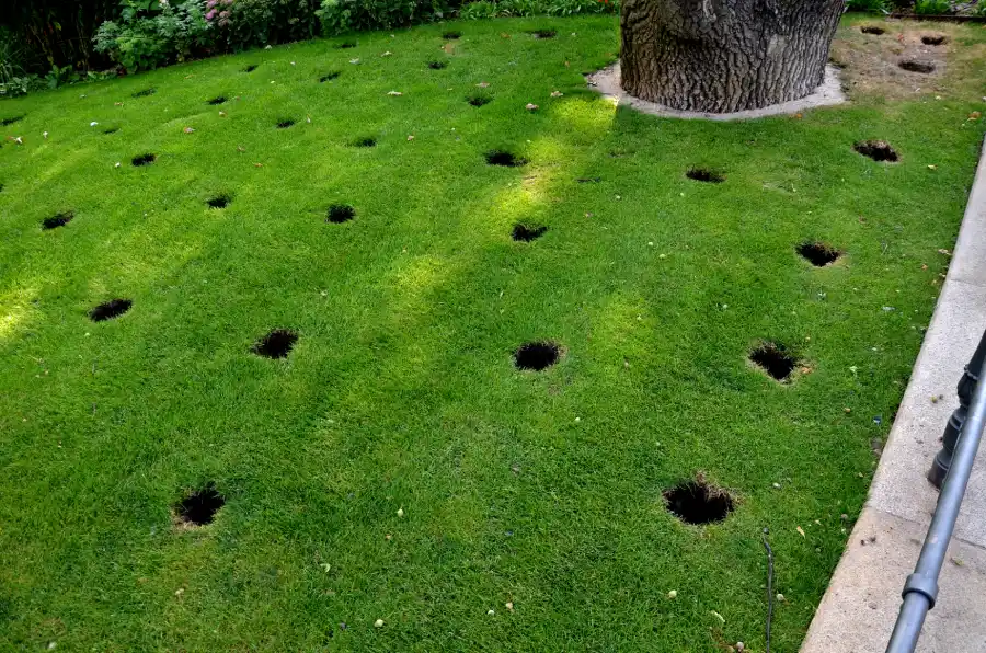 Affordable Lawn Aeration Service Oklahoma City, OK