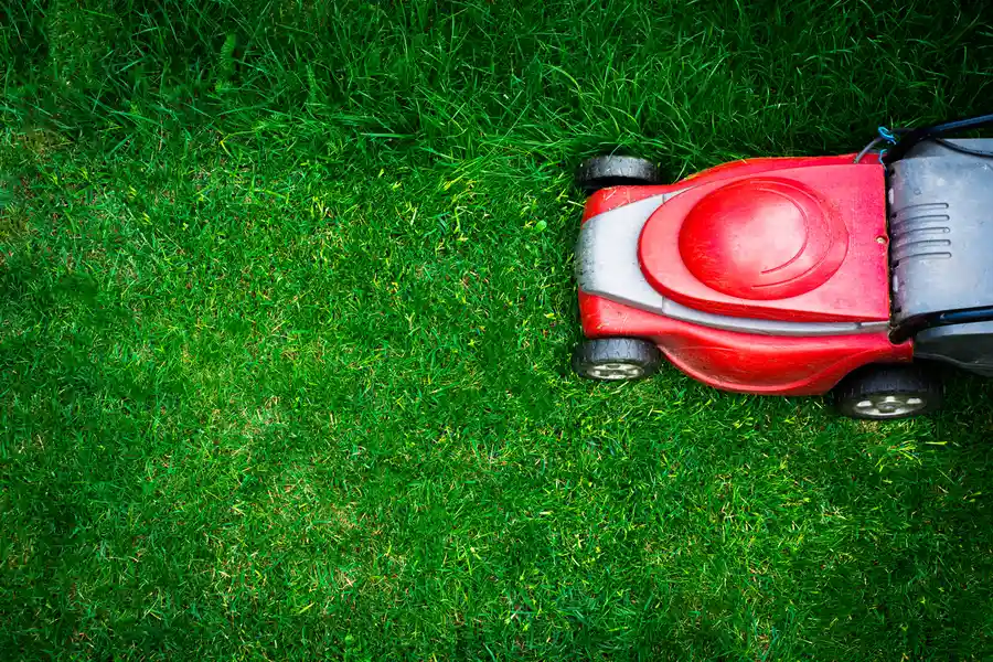 Benefits Of Professional Lawn Mowing Services For Your Yard in Oklahoma City OK