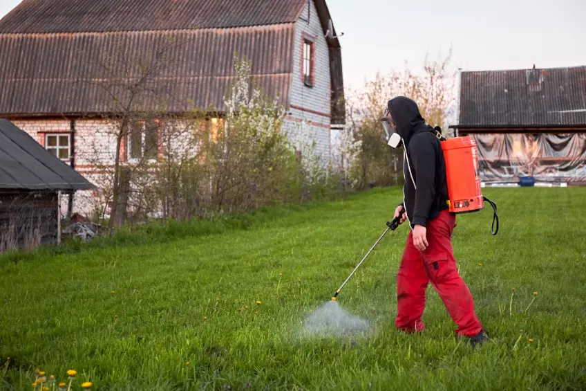 Common Signs Your Lawn Needs Fertilization Services Oklahoma City OK
