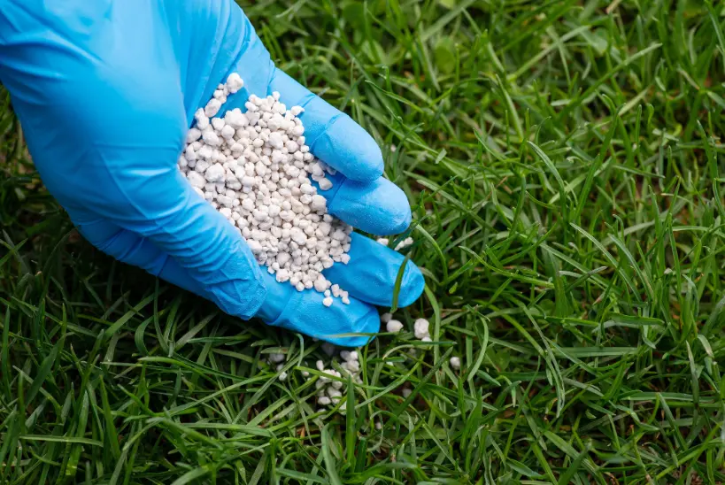Experienced Lawn Fertilization Oklahoma City OK