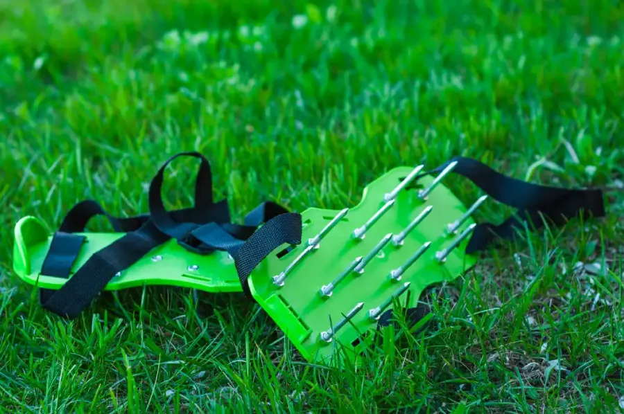 How Lawn Aeration Enhances Water Absorption Oklahoma City, OK