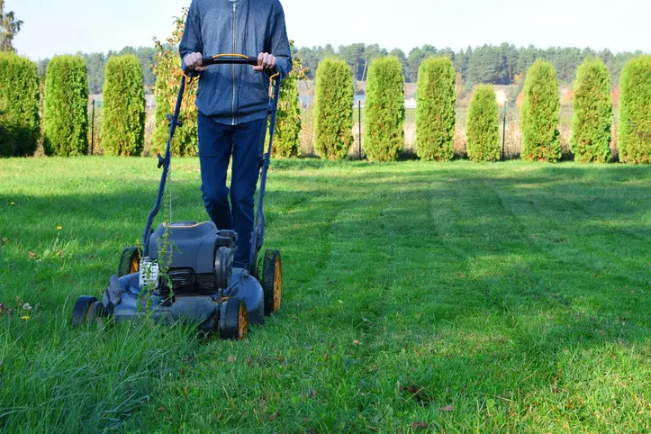 How Lawn Mowing Services Help Maintain Your Lawn's Shape Oklahoma City OK
