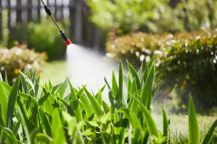 Quality Lawn Fertilization Oklahoma City OK