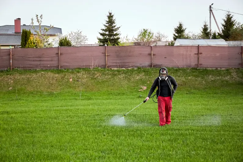 The Importance Of Timing In Effective Lawn Fertilization Oklahoma City OK