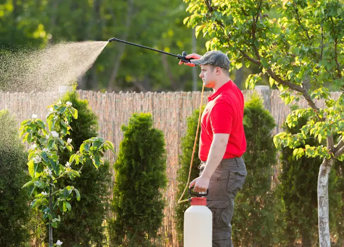 The Importance Of Timing In Effective Lawn Fertilization in Oklahoma City OK