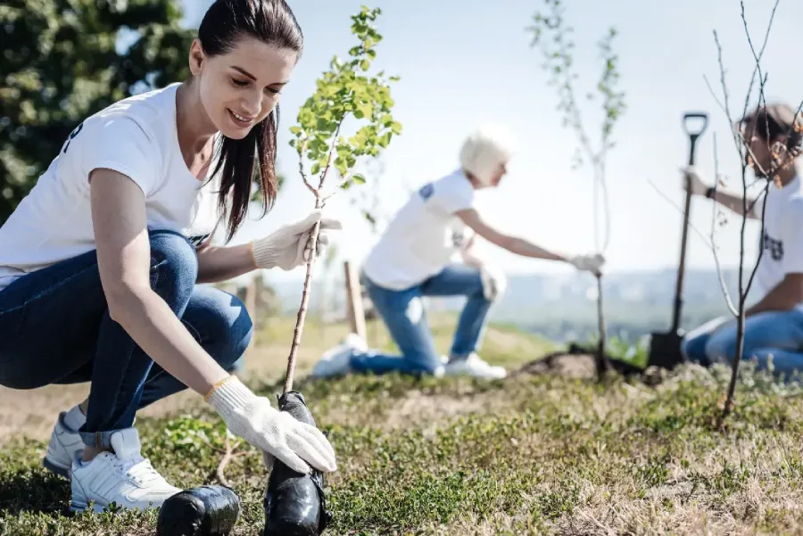 Top-rated Tree Planting Services Oklahoma City, OK